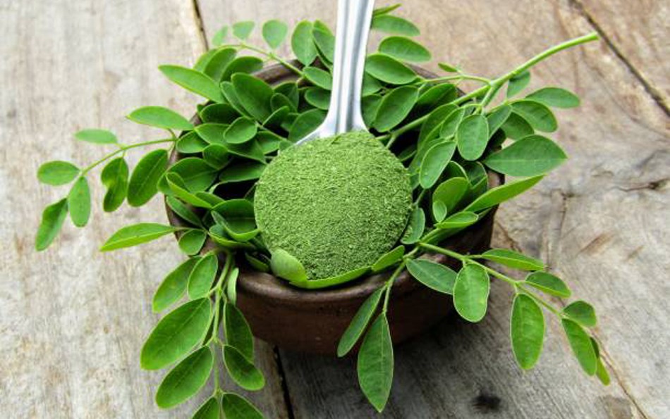 Moringa